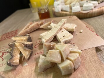 A close-up of various cheese