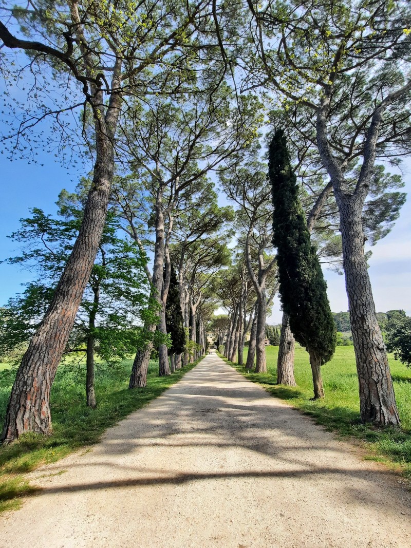 The path to Fiesole